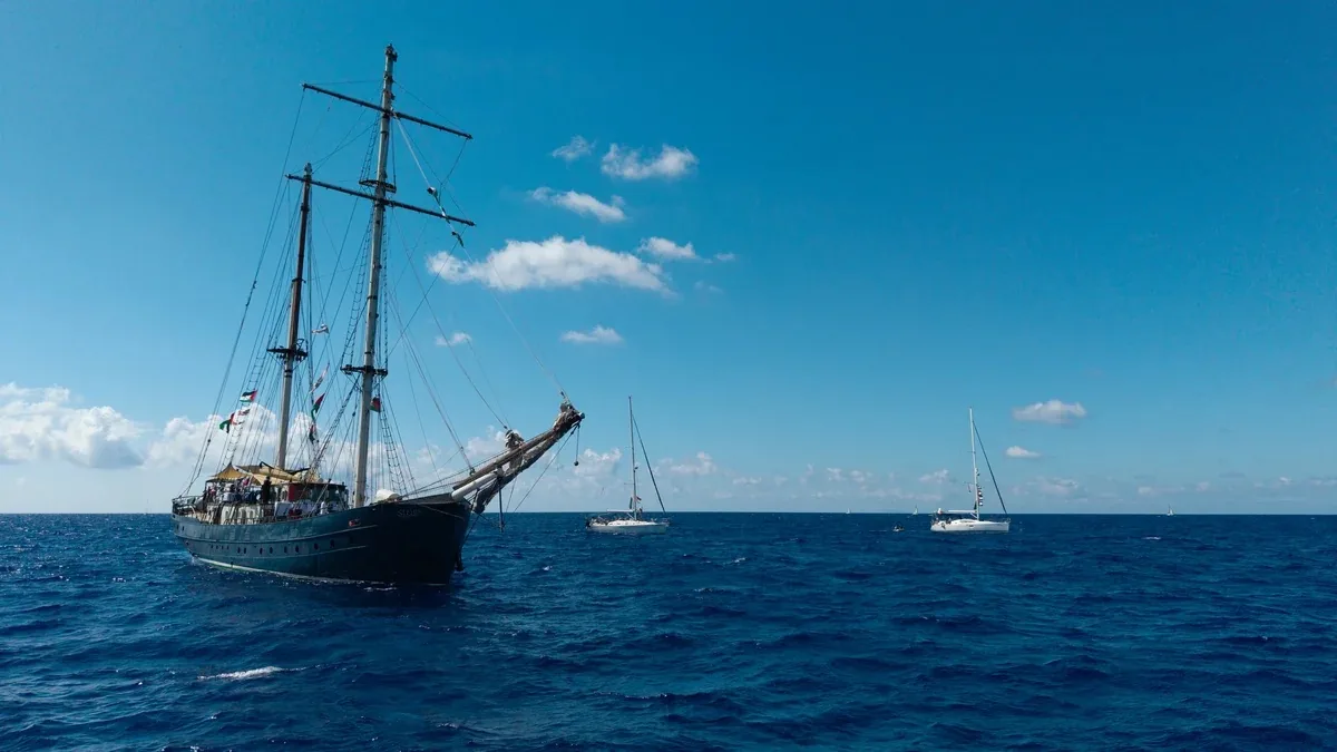 Global Sumud Flotilla Officially Departs Italy with Over 50 Vessels—The Largest Civilian-Led Maritime Mobilisation in History for Gaza Now Sets Course for the Eastern Mediterranean